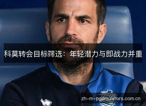 科莫转会目标筛选：年轻潜力与即战力并重